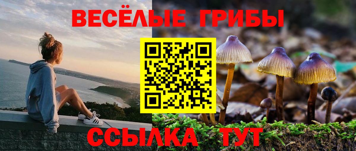 Галлюциногенные грибы Psilocybine cubensis  Вход с VPN  Семилуки 